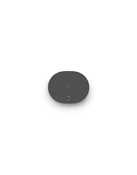 Ηχείο Ασύρματο WiFi με φωνητικές εντολές Μαύρο IP56